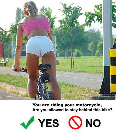 http://www.road-ripper.co.uk/i/index%20page%20pics/images/Girl-on-bike.jpg